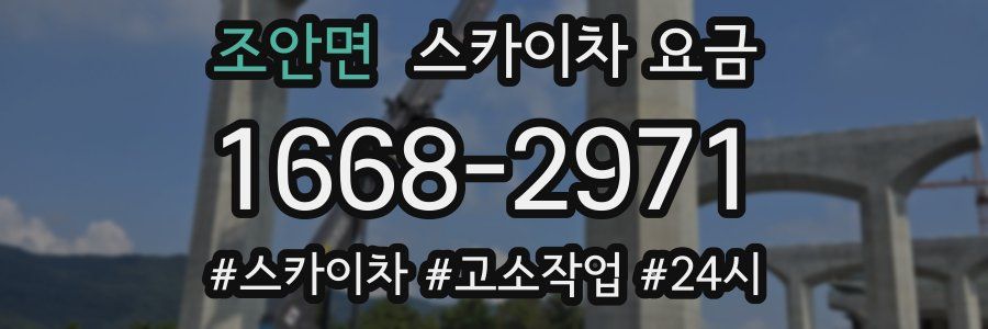 조안면 스카이차 요금