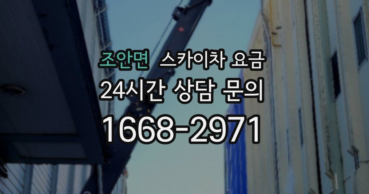 조안면 스카이차 요금