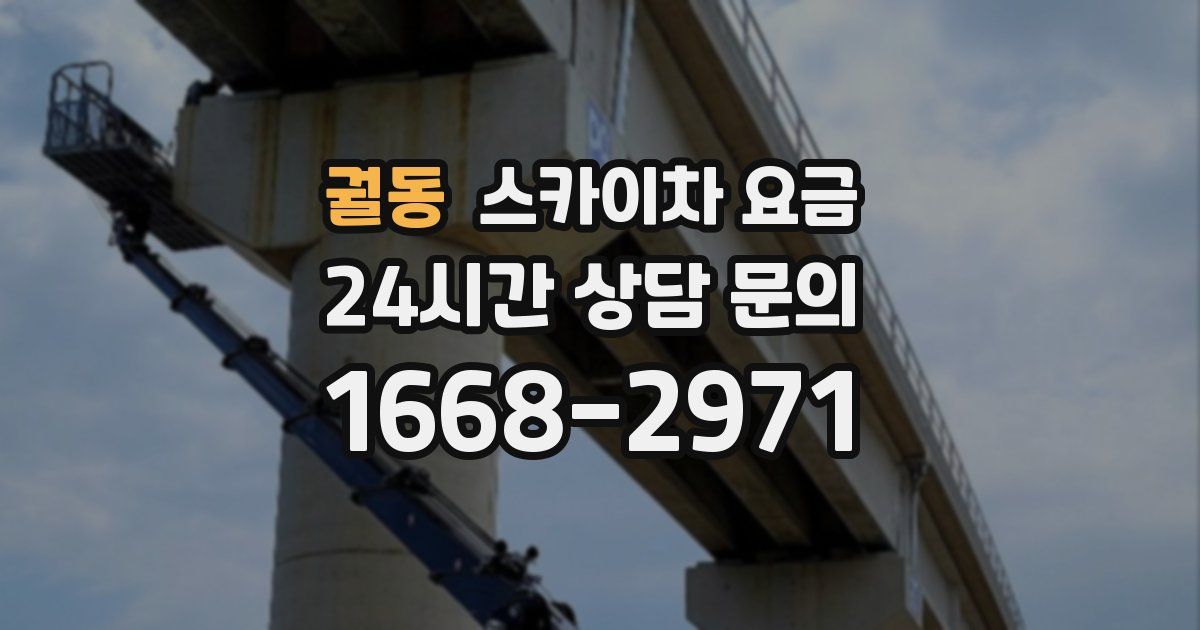 궐동 스카이차 요금
