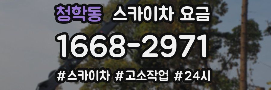 청학동 스카이차 요금