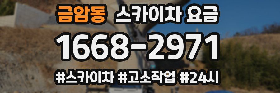 금암동 스카이차 요금