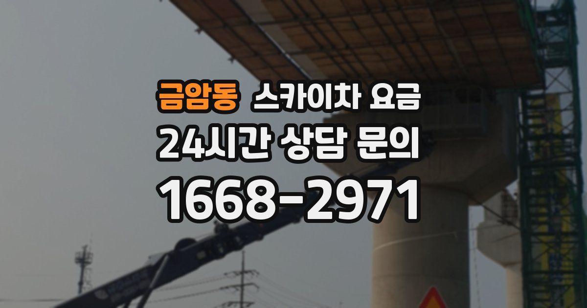 금암동 스카이차 요금