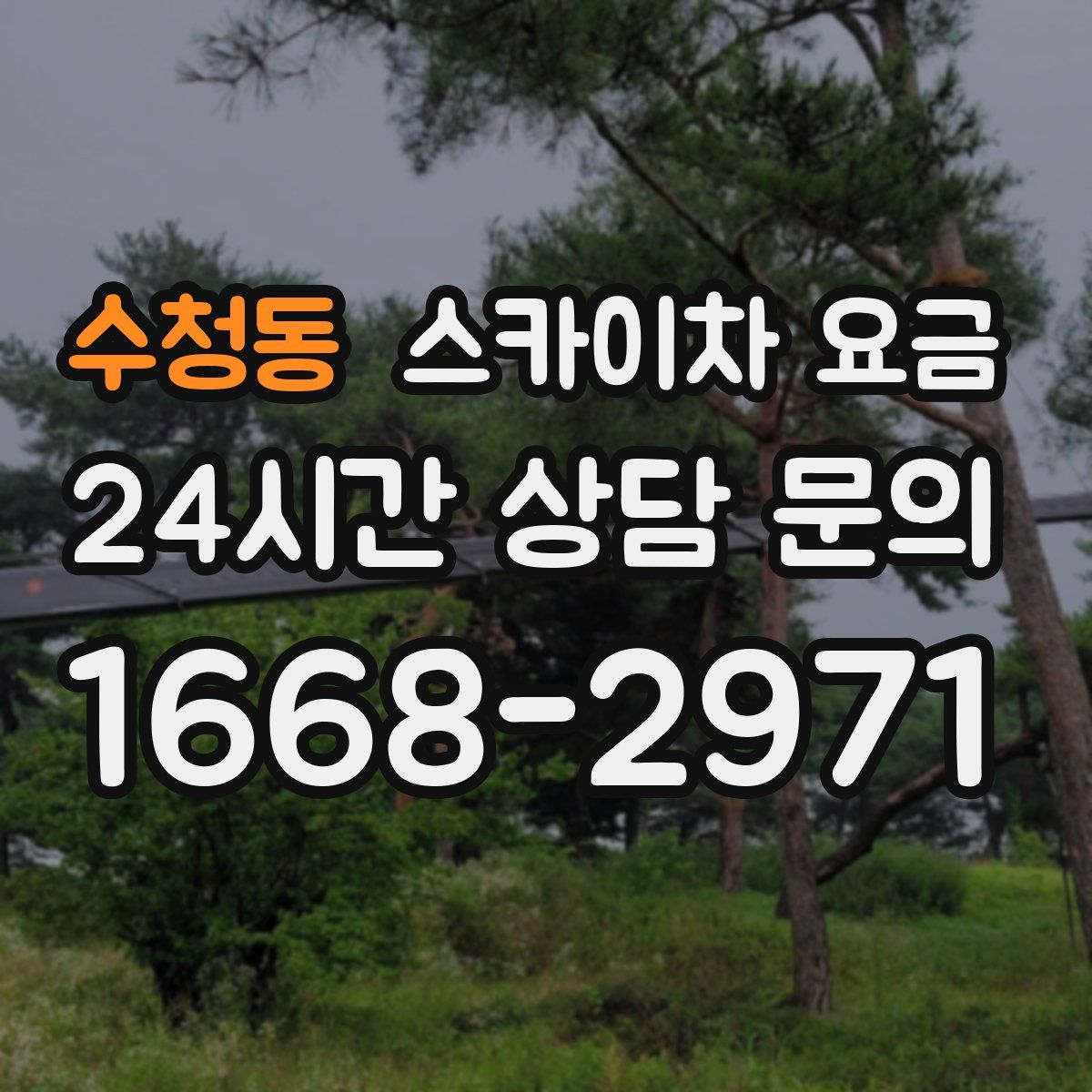 수청동 스카이차 요금