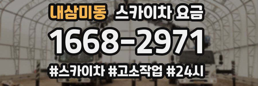 내삼미동 스카이차 요금