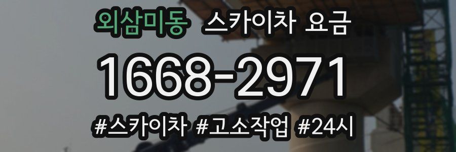 외삼미동 스카이차 요금