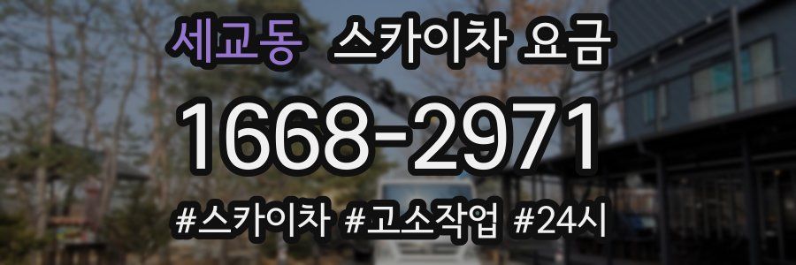 세교동 스카이차 요금