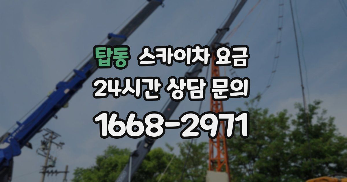 탑동 스카이차 요금