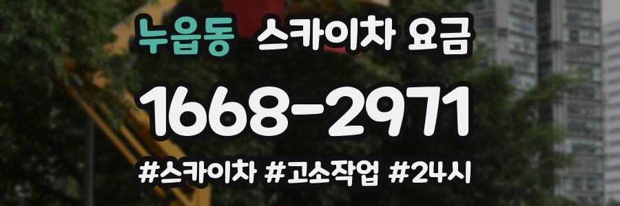 누읍동 스카이차 요금
