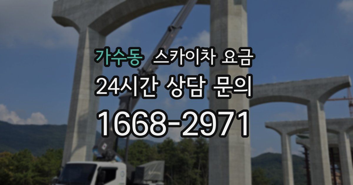 가수동 스카이차 요금