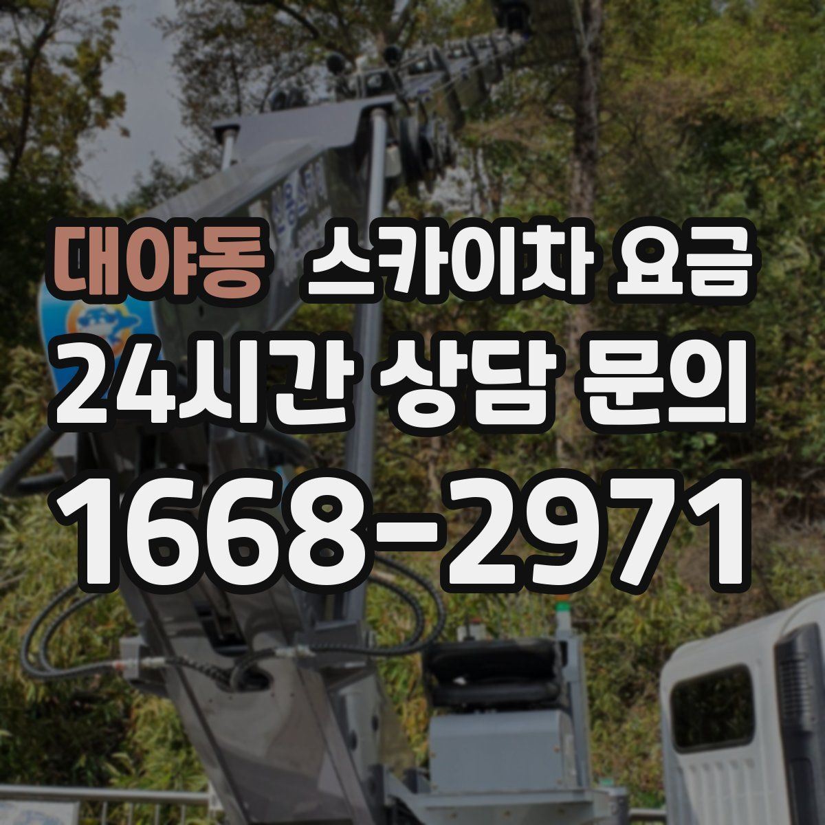 대야동 스카이차 요금