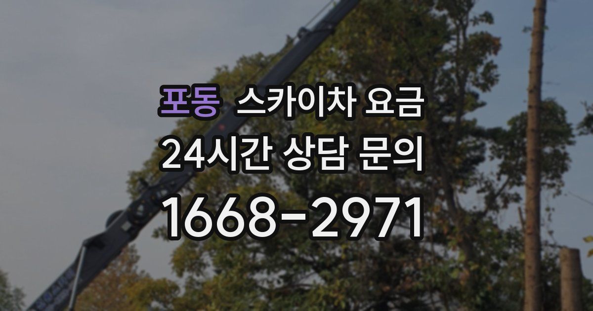 포동 스카이차 요금