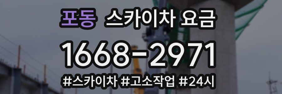 포동 스카이차 요금