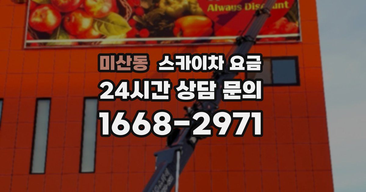 미산동 스카이차 요금