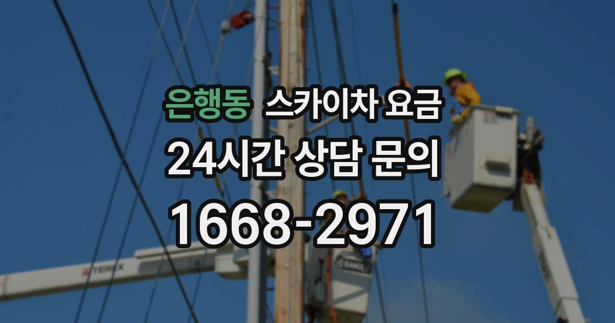 은행동 스카이차 요금