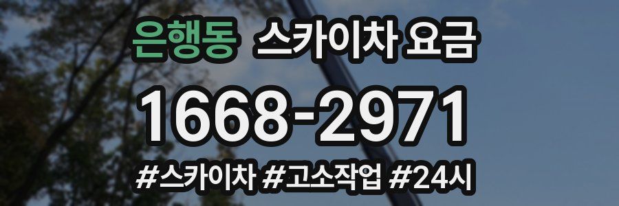 은행동 스카이차 요금