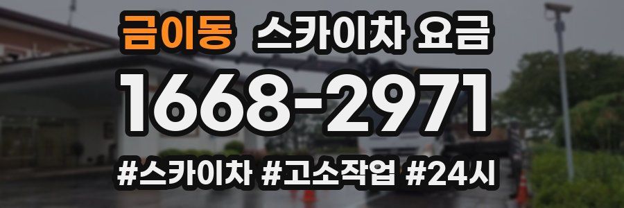 금이동 스카이차 요금