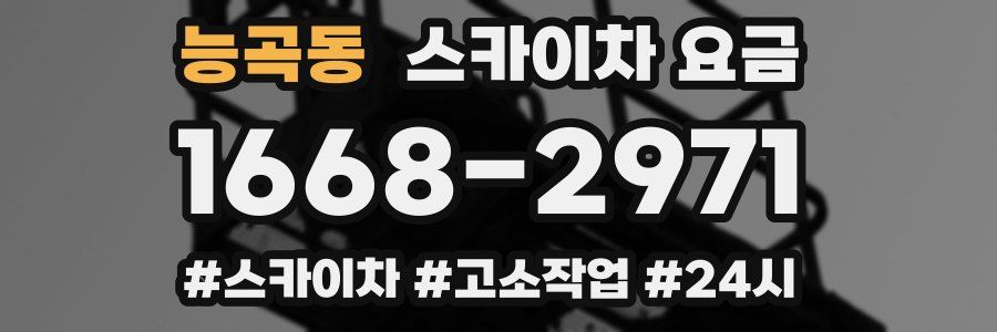 능곡동 스카이차 요금