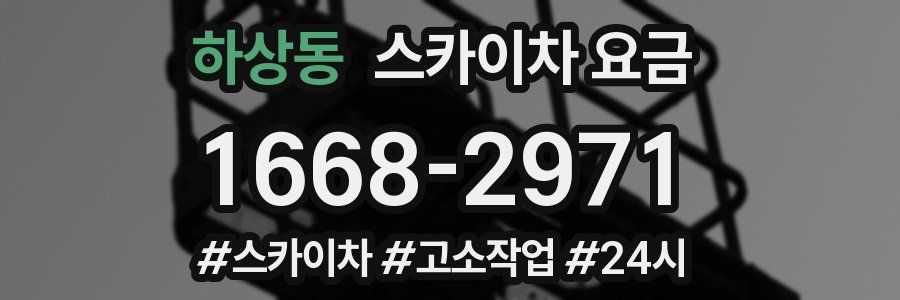 하상동 스카이차 요금