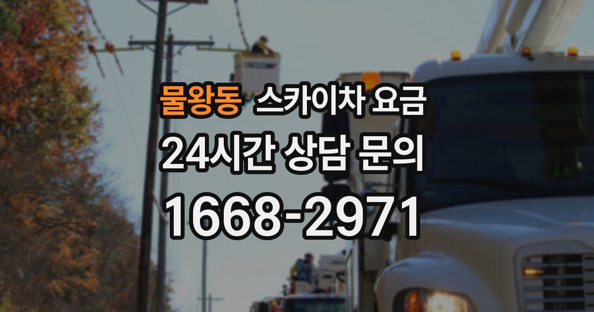 물왕동 스카이차 요금