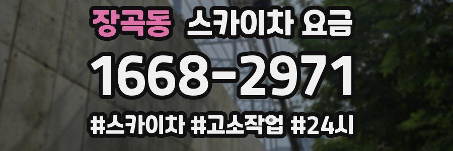 장곡동 스카이차 요금