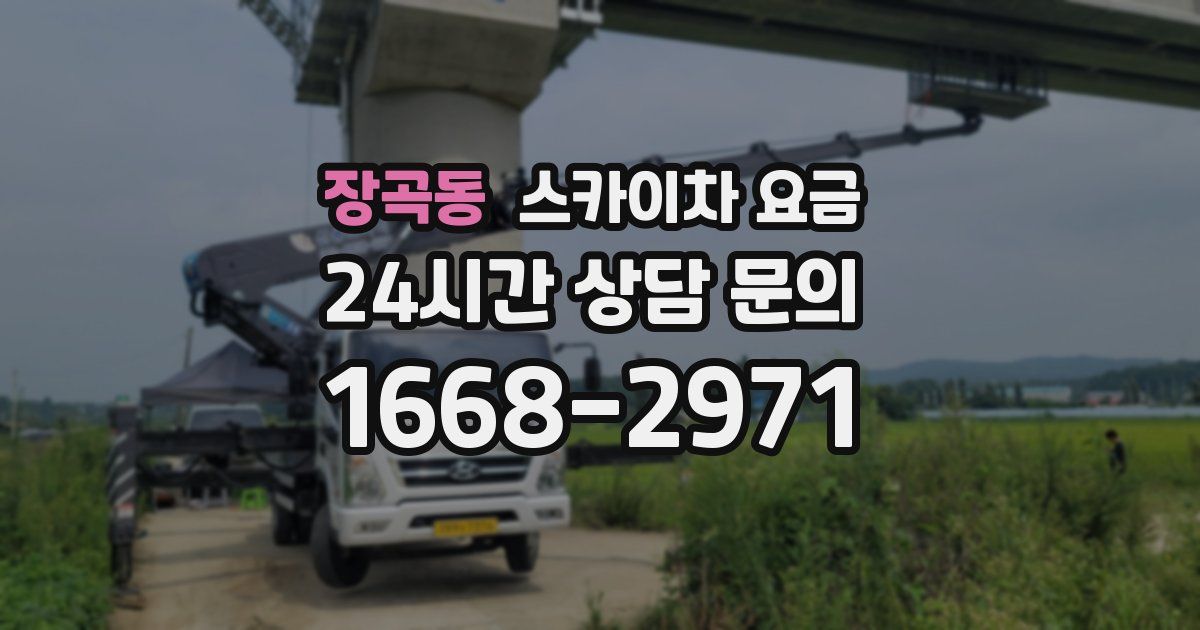 장곡동 스카이차 요금