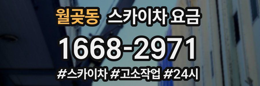 월곶동 스카이차 요금