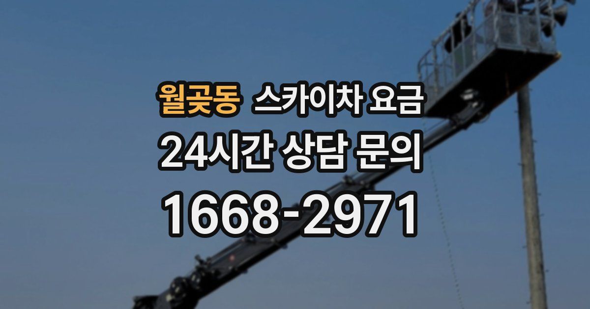월곶동 스카이차 요금