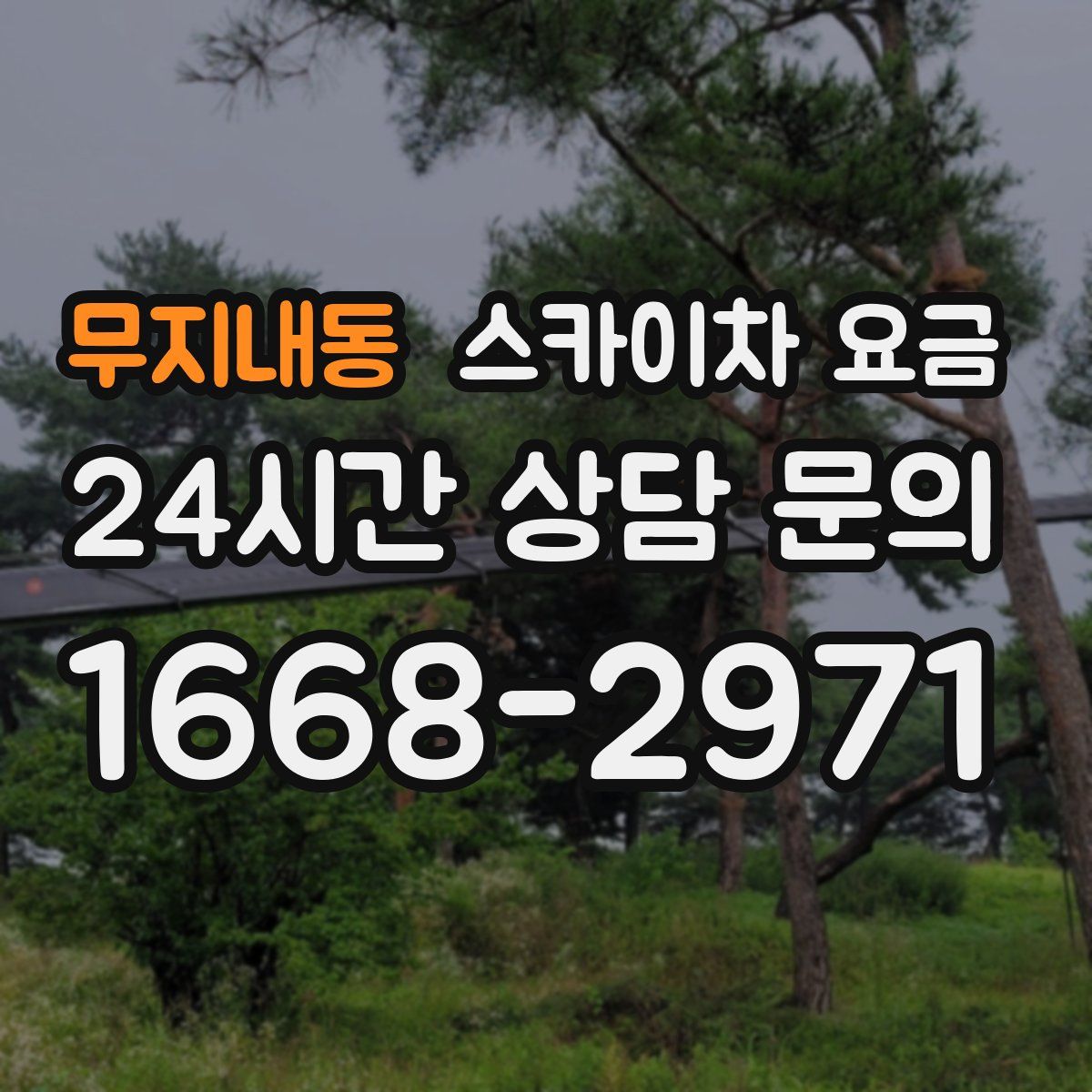 무지내동 스카이차 요금