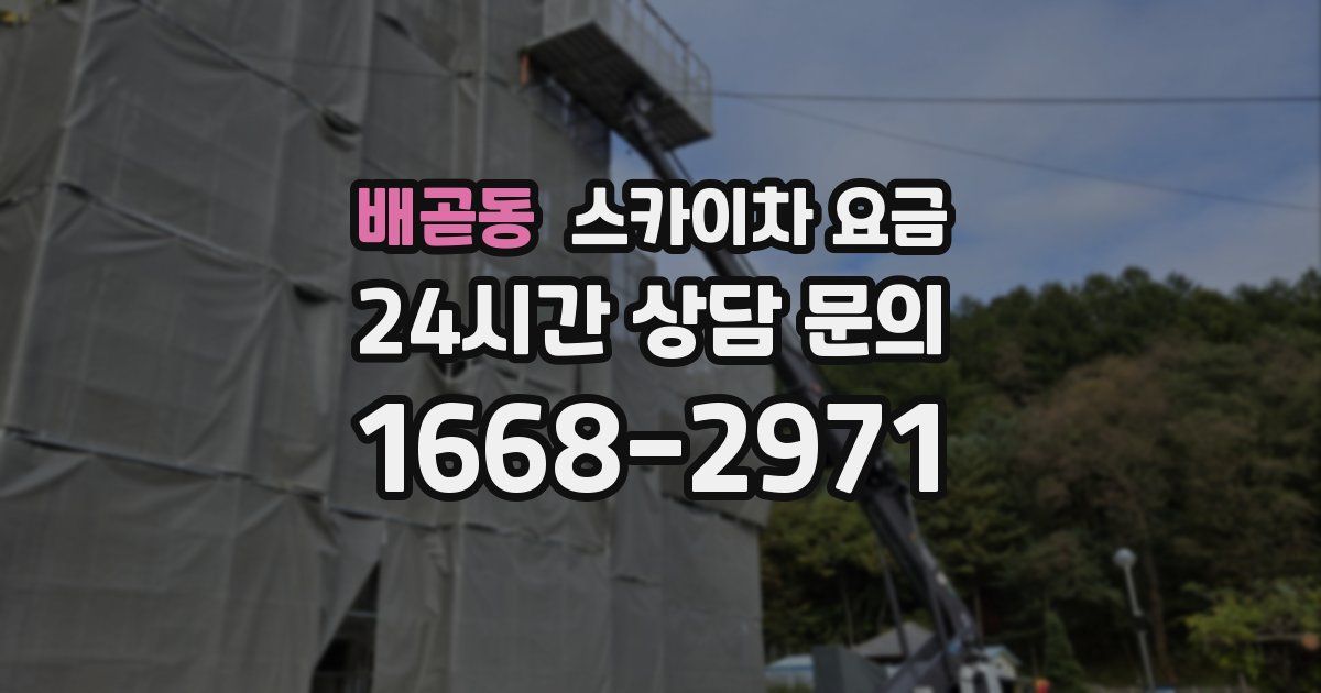 배곧동 스카이차 요금
