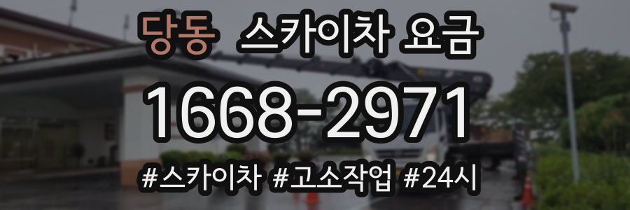 당동 스카이차 요금