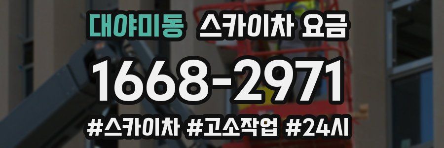 대야미동 스카이차 요금