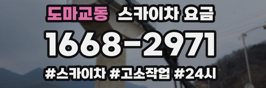도마교동 스카이차 요금