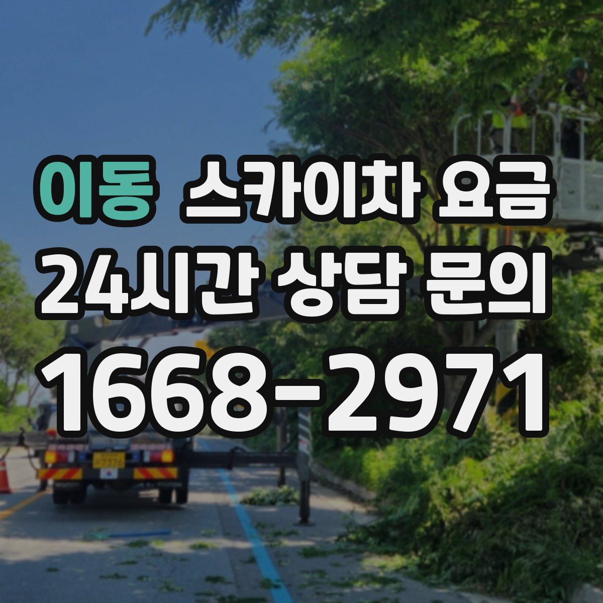 이동 스카이차 요금