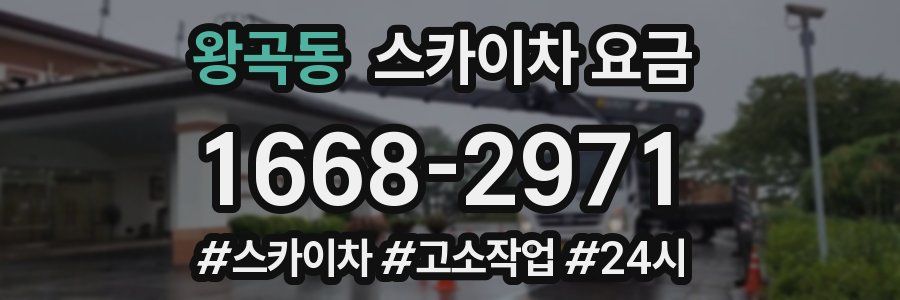 왕곡동 스카이차 요금