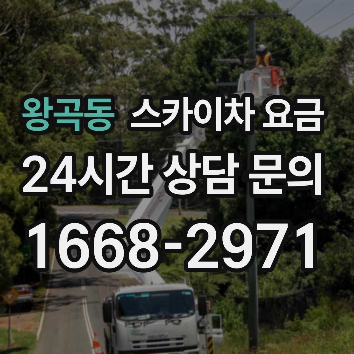 왕곡동 스카이차 요금
