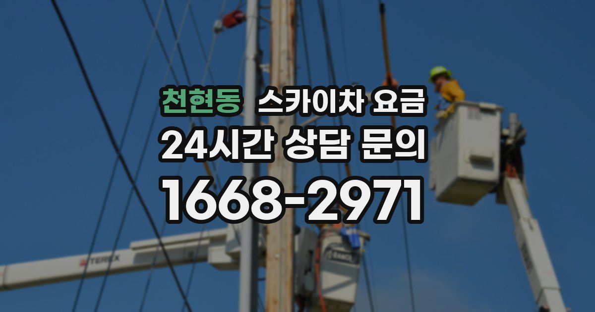 천현동 스카이차 요금