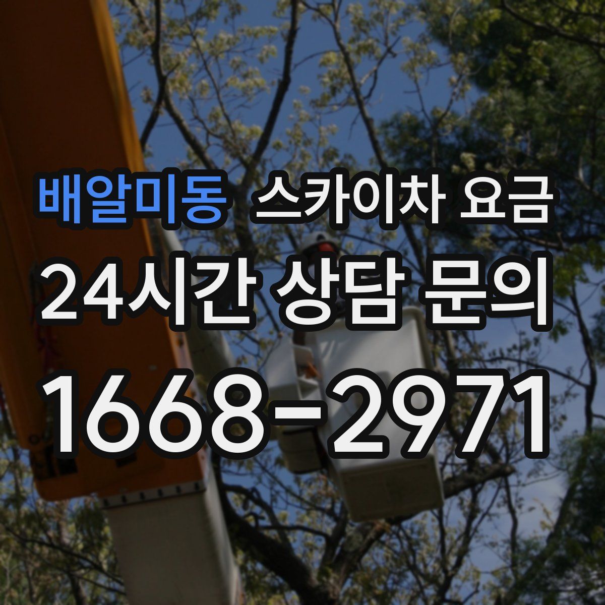 배알미동 스카이차 요금