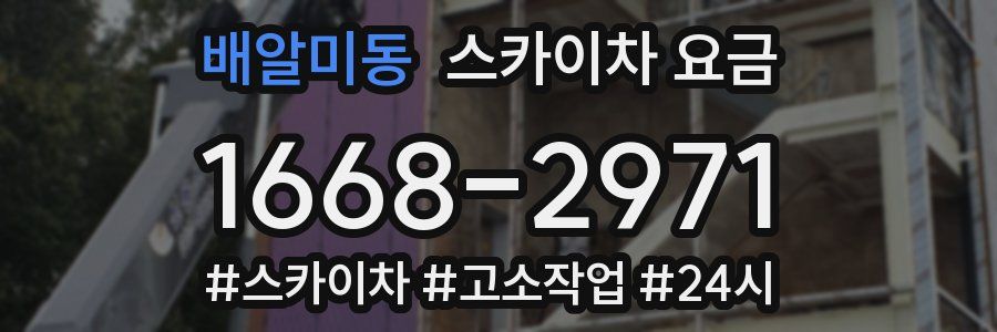 배알미동 스카이차 요금