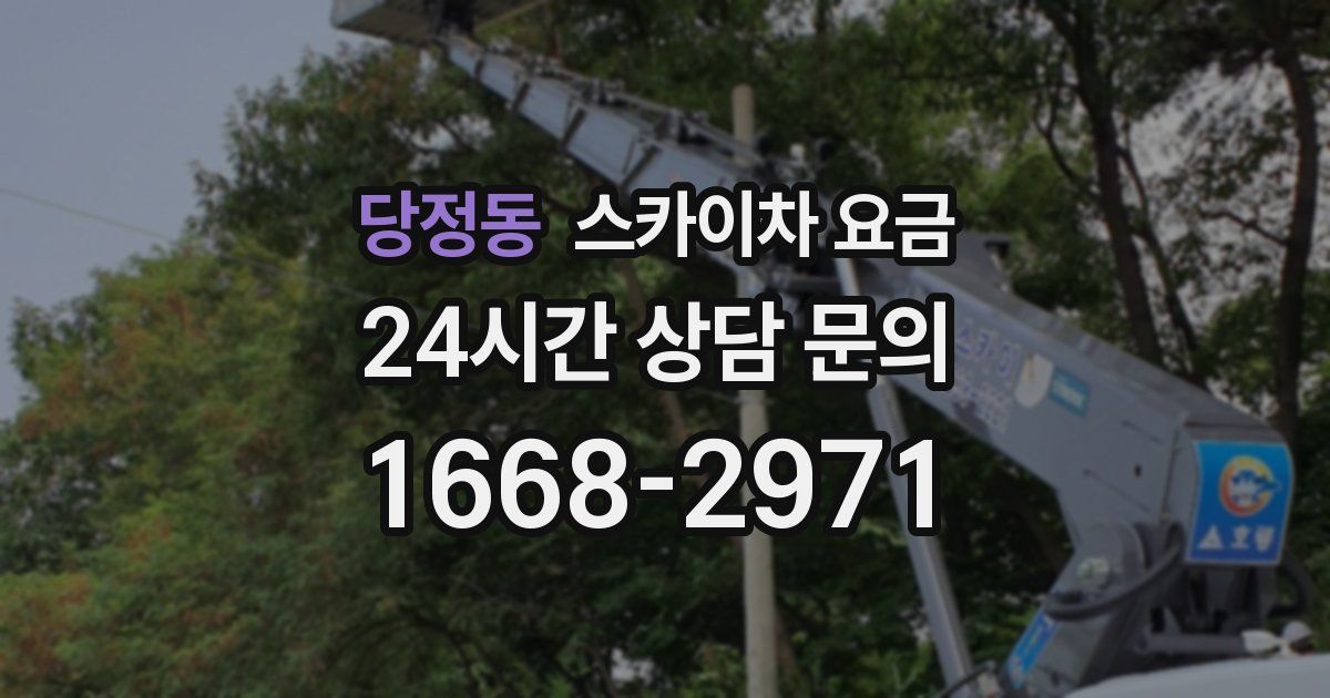 당정동 스카이차 요금