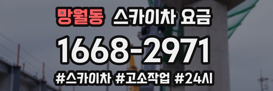 망월동 스카이차 요금