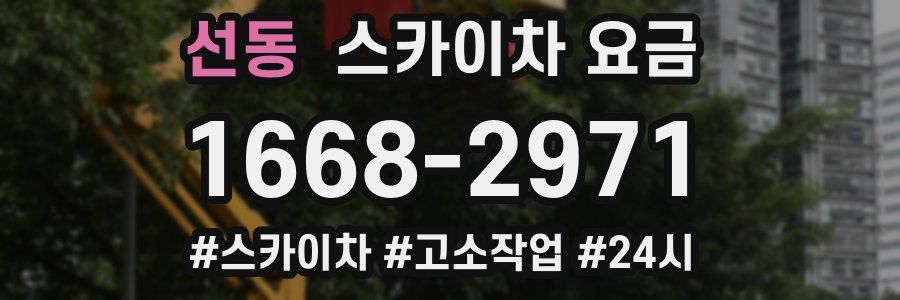 선동 스카이차 요금