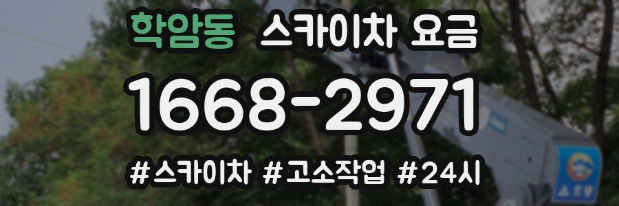 학암동 스카이차 요금