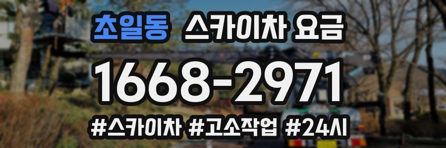 초일동 스카이차 요금