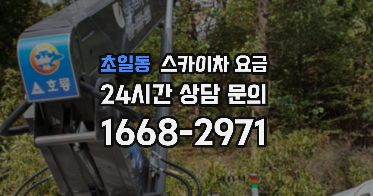 초일동 스카이차 요금