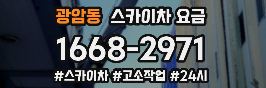 광암동 스카이차 요금