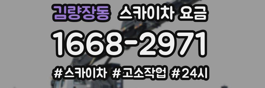 김량장동 스카이차 요금