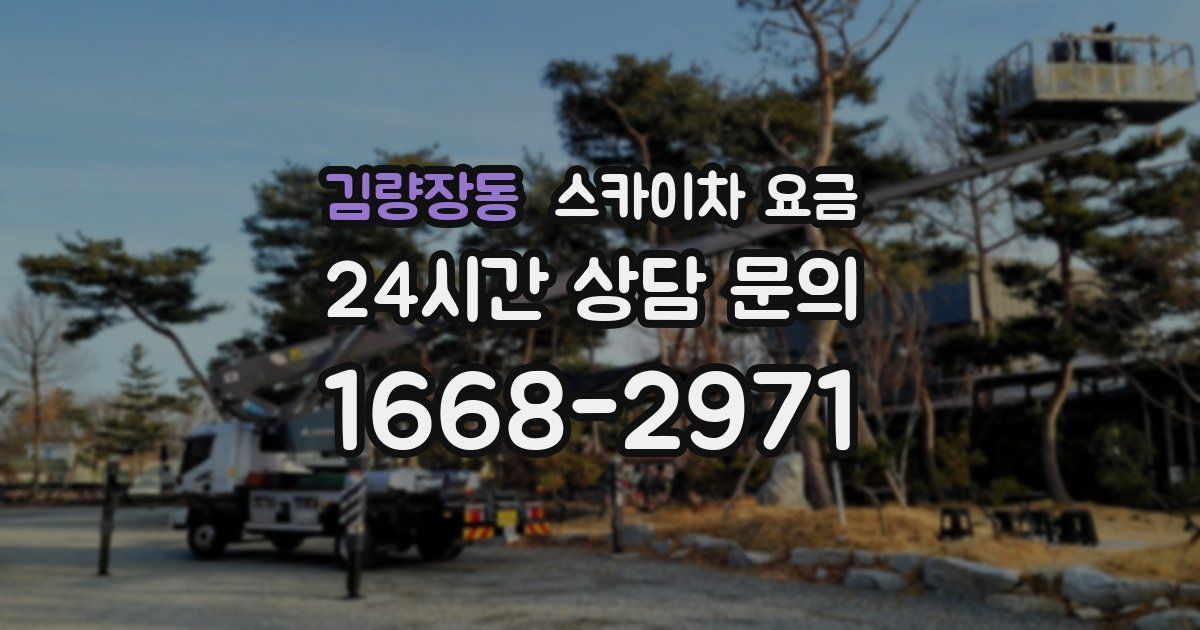 김량장동 스카이차 요금