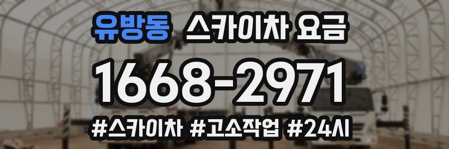 유방동 스카이차 요금