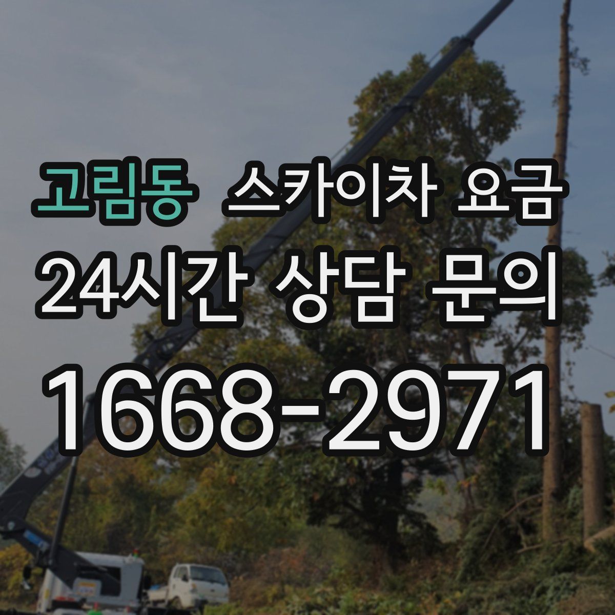 고림동 스카이차 요금