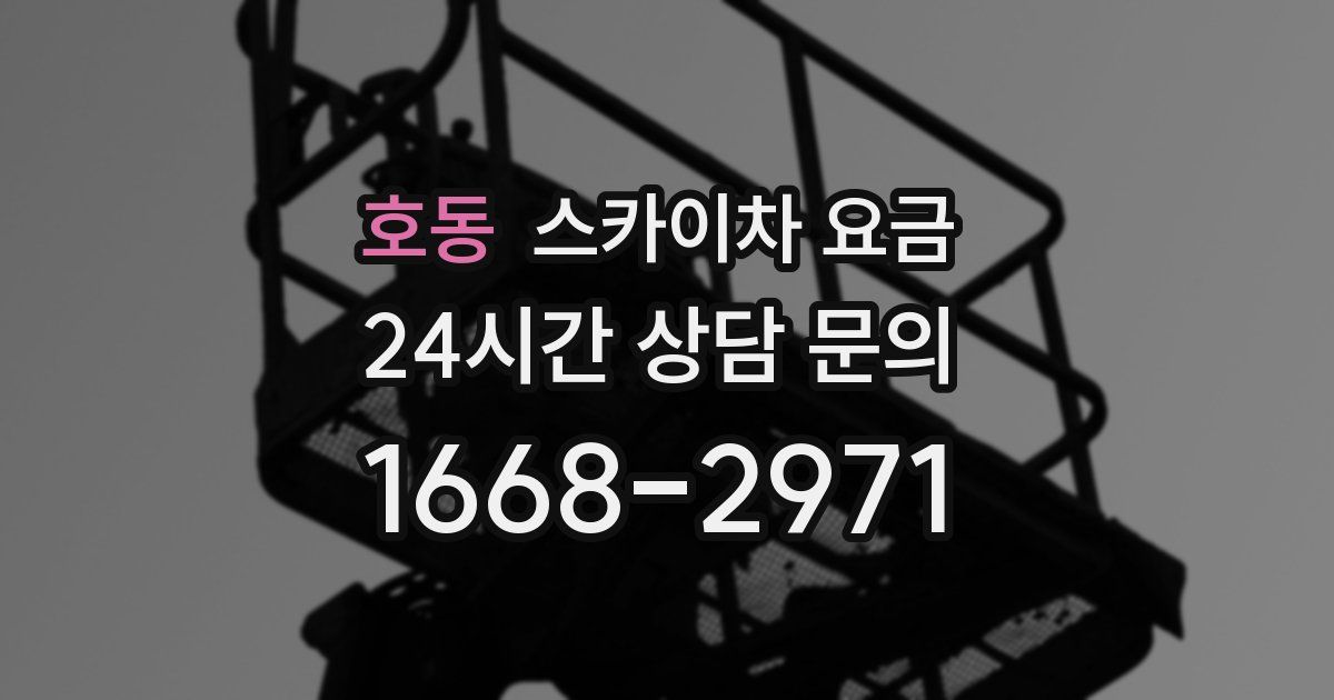 호동 스카이차 요금